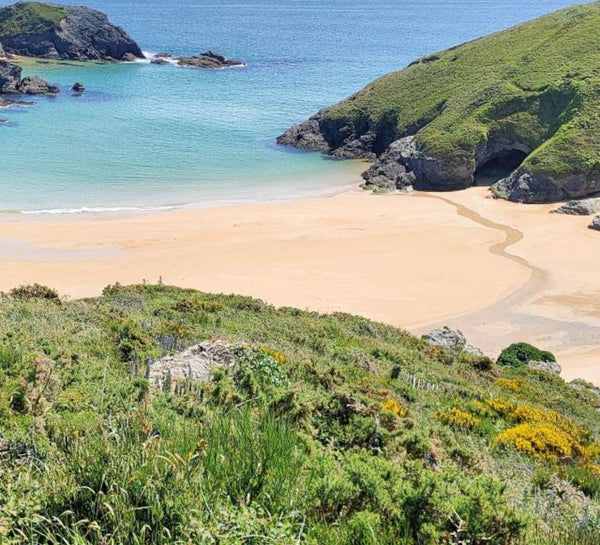 Retraite Yoga, Paddle & Excursion en Bretagne - été