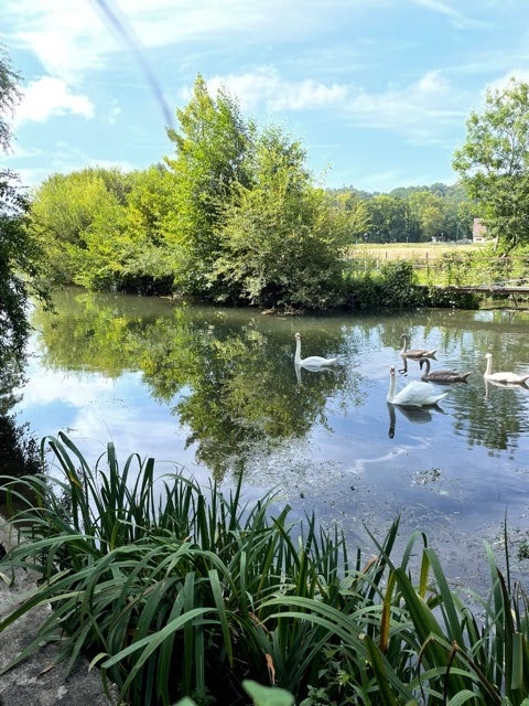 Mon premier week-end yoga en Normandie