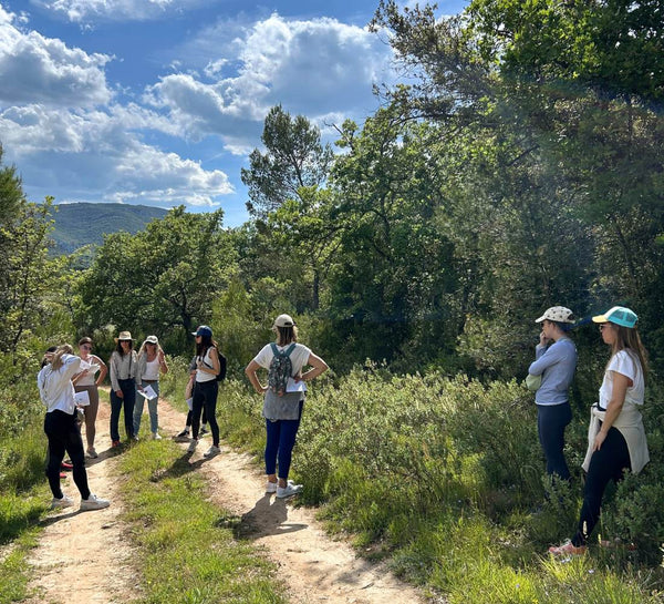 Élan créatif : Yoga, Sonothérapie & Aquarelle en Provence - Séjour Provence