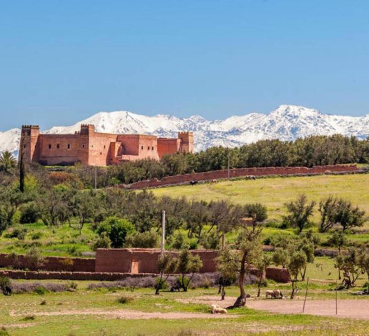 Retraite No stress & Yoga à Marrakech