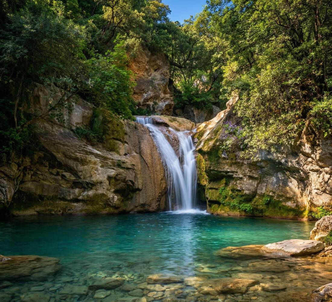 Le Grand Reset d’Été : Yoga & Régénération en Provence