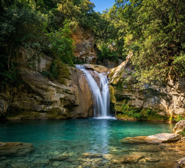 Le Grand Reset d’Été : Yoga & Régénération en Provence