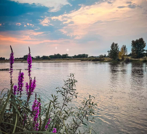 Yoga & Aquarelle : ralentir et retrouver l’essentiel - Séjour France