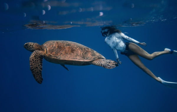Snokeling avec des tortues lors d'un séjour yoga à l'île de Madère avec Namastrip