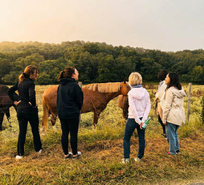 Bien-être Total : Yoga, Sauna & Bain Nordique près de Bordeaux