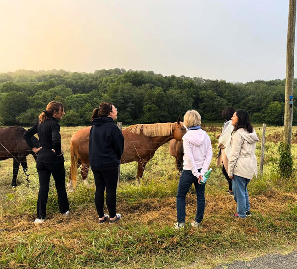 Yoga, Sauna & Nature dans le Sud - Ouest - Séjour
