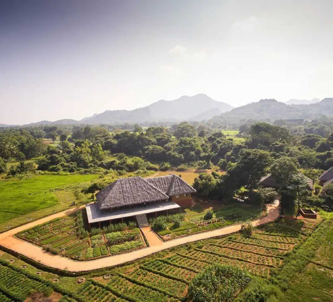 Voyage bien-être au Sri Lanka : entre jungle et océan