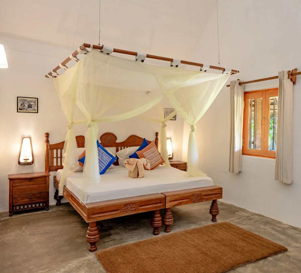 Voyage bien-être au Sri Lanka : entre jungle et océan