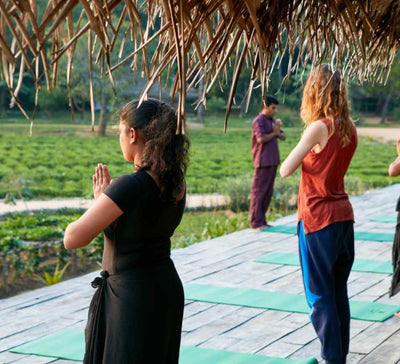 Voyage bien-être au Sri Lanka : entre jungle et océan