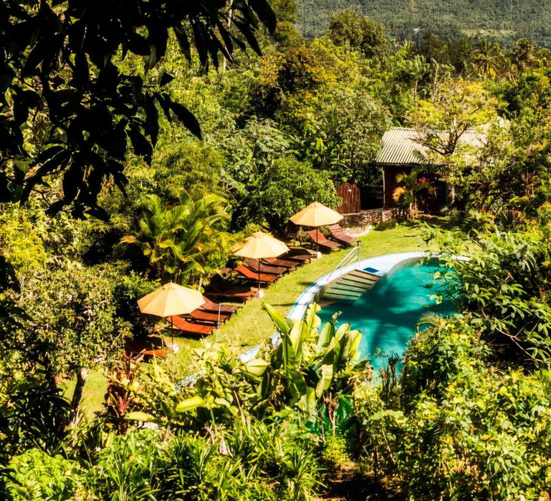 Voyage bien-être au Sri Lanka : entre jungle et océan