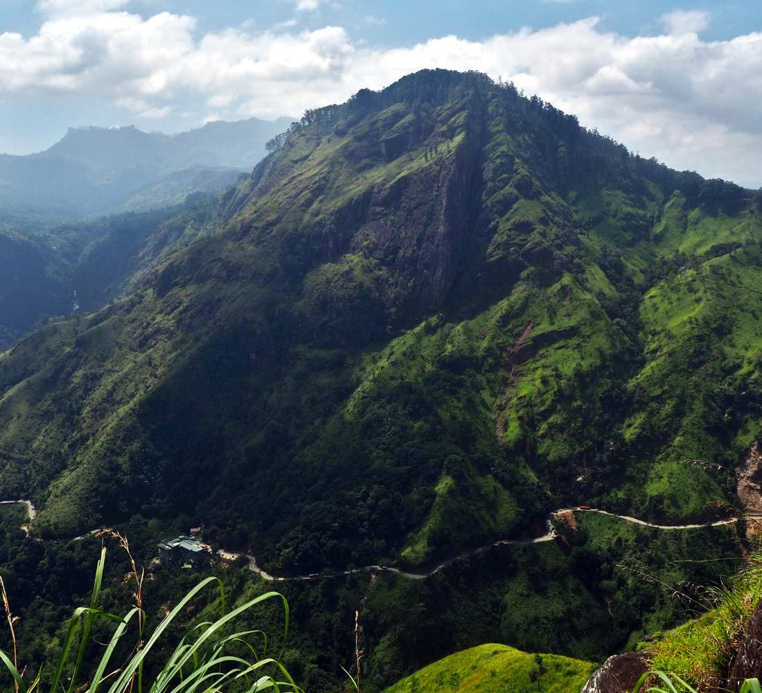 Voyage bien-être au Sri Lanka : entre jungle et océan