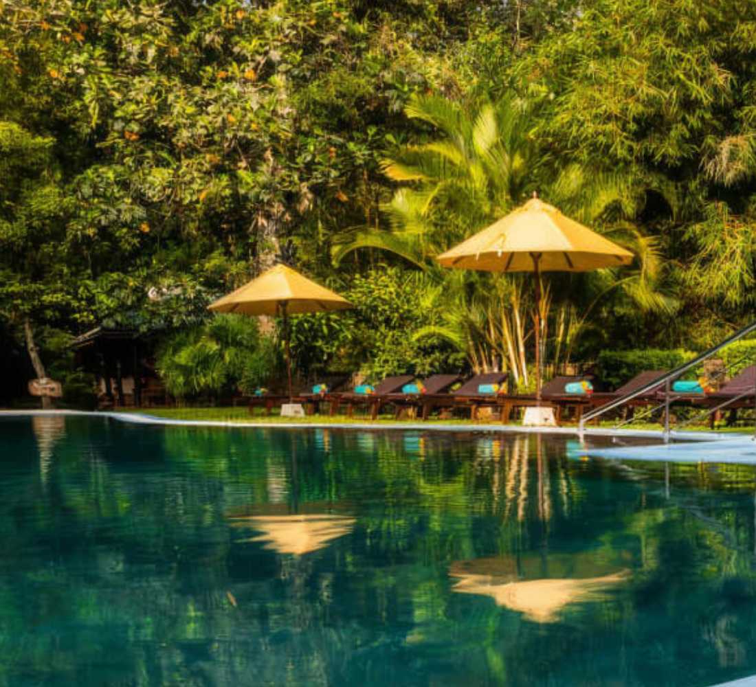 Voyage bien-être au Sri Lanka : entre jungle et océan