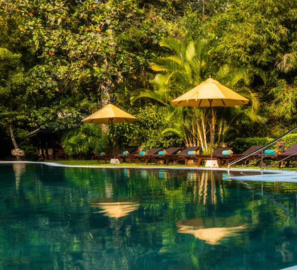 Voyage bien-être au Sri Lanka : entre jungle et océan