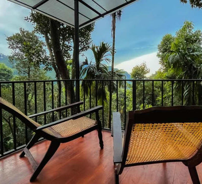 Voyage bien-être au Sri Lanka : entre jungle et océan
