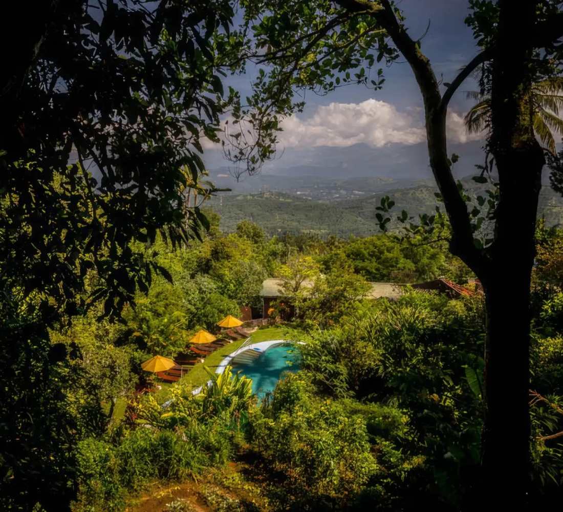 Voyage bien-être au Sri Lanka : entre jungle et océan
