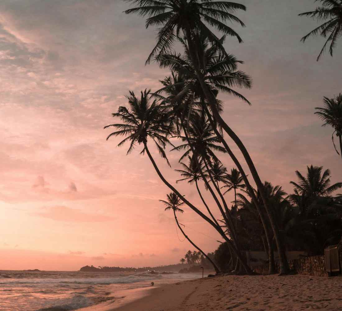 Voyage bien-être au Sri Lanka : entre jungle et océan