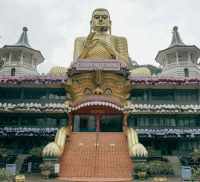 Voyage bien-être au Sri Lanka : entre jungle et océan