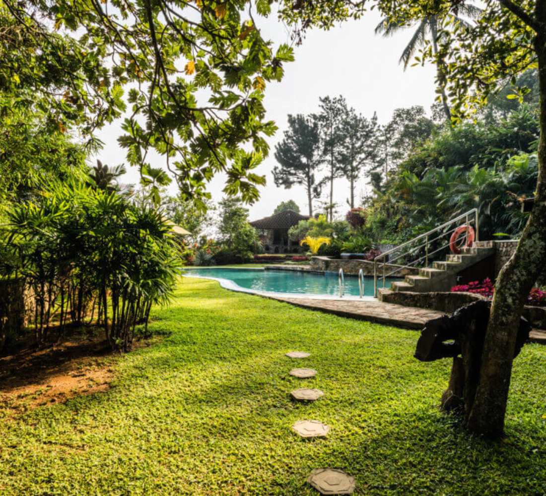 Voyage bien-être au Sri Lanka : entre jungle et océan