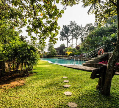Voyage bien-être au Sri Lanka : entre jungle et océan