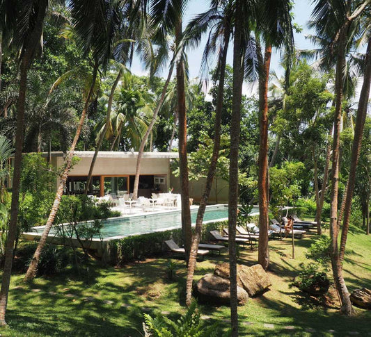 Voyage bien-être au Sri Lanka : entre jungle et océan