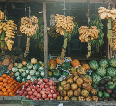 Sri Lanka • Voyage Initiatique entre Jungle & Océan - Séjour Sri Lanka