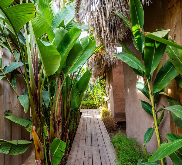 L'Expérience Spa, Massage & Yoga aux Portes de Marrakech