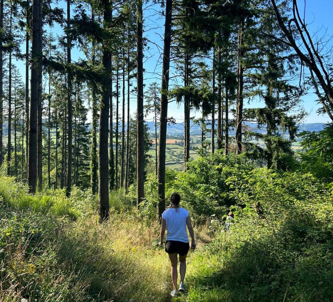 Retraite Équilibre et Énergie en Bourgogne - été - Séjour Bourgogne