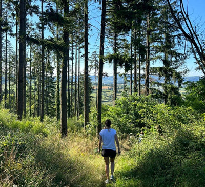 Retraite Équilibre et Énergie en Bourgogne - été - Séjour Bourgogne