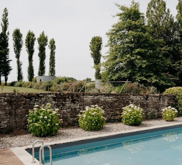 Éveil des Sens : Yoga, Sauna & Dégustation de vin en Bourgogne