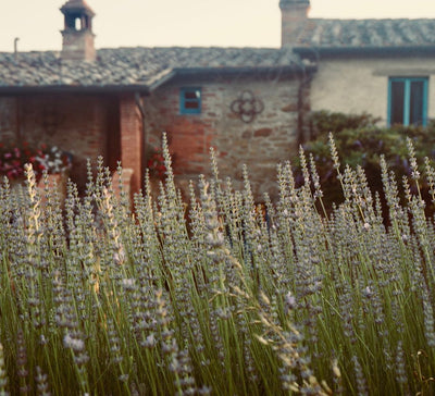 La Dolce Vita Toscane : Yoga, Nature & Art de Vivre en Italie