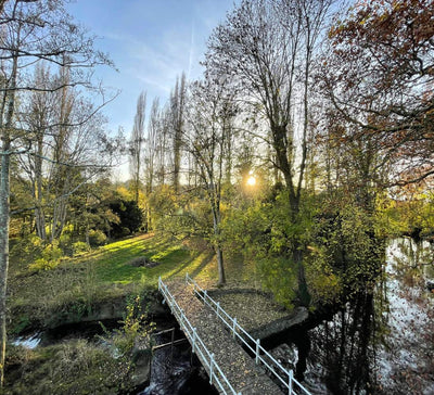 Total Reset : Yoga, Méditation & Nature dans le Perche - Séjour France