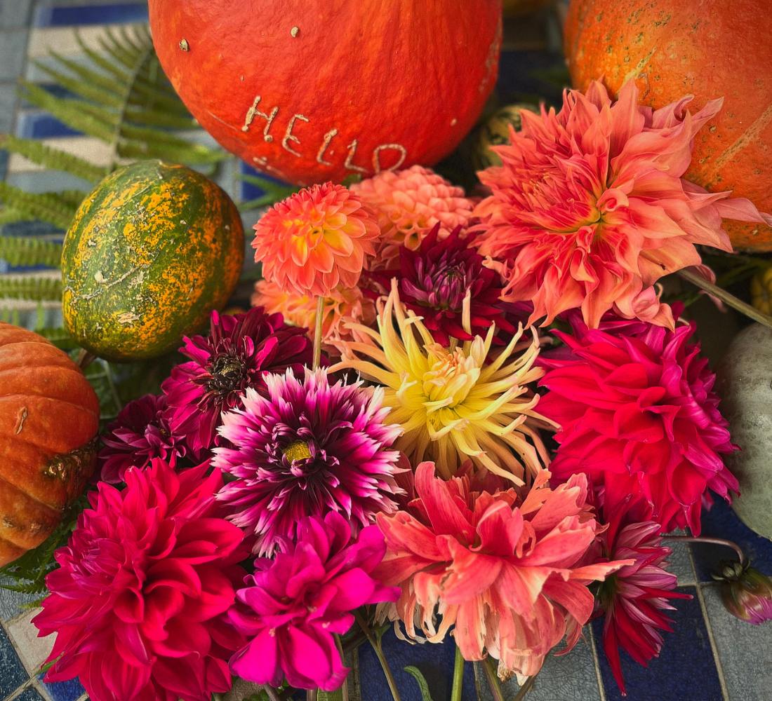 Yoga & Aquarelle : ralentir et retrouver l’essentiel - Séjour France