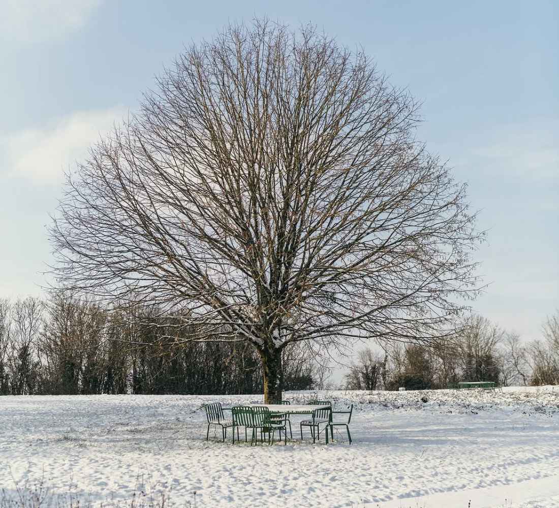 Ce qui résonne : Yoga, Sonothérapie & Reconnexion dans le Perche