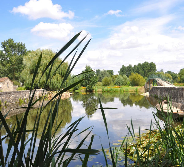 Yoga, Balade sensorielle & Hammam en Vendée - Séjour Sud - Ouest