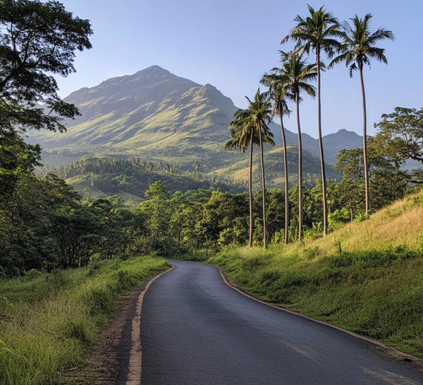 Voyage bien-être & découverte du Kerala, Inde du Sud