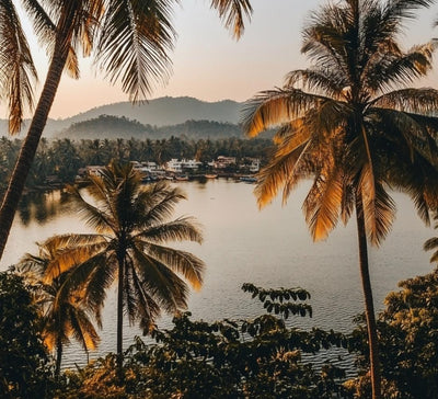 Voyage bien-être & découverte du Kerala, Inde du Sud