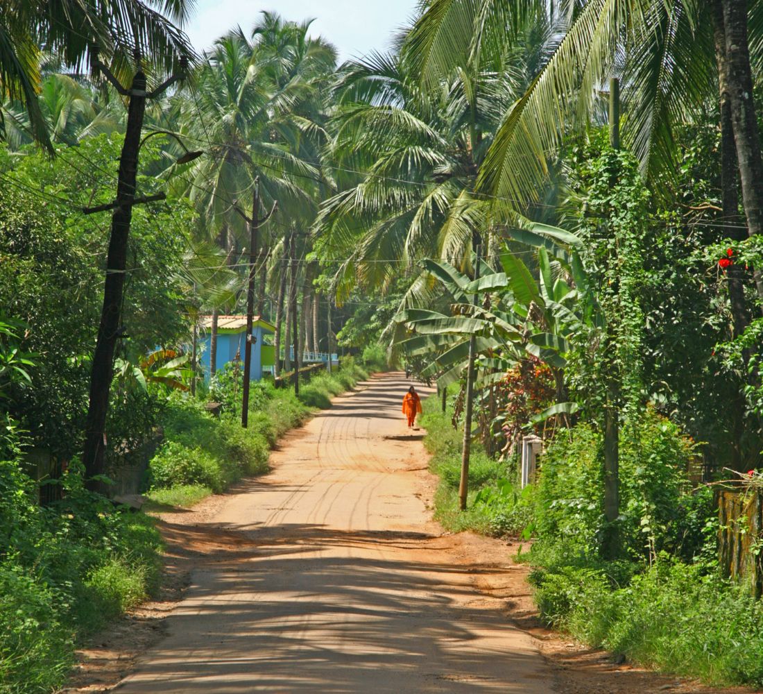 Voyage bien-être & découverte du Kerala, Inde du Sud