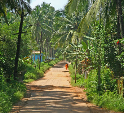 Voyage bien-être & découverte du Kerala, Inde du Sud