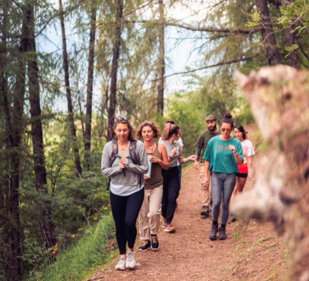 namastrip-agence-de-voyage-certifiee-et-immatriculee-namastrip-vous-propose-des-retraites-yoga-et-bien-etre-en-france-et-a-l-39-etranger-de-3-a-10-jours-decouvrez-des-sejours-autour-du-yoga-et-du-bien-etre-animes-par-des-intervenantes-dans-des-lieux-d-39-exception-selectionne-avec-soin