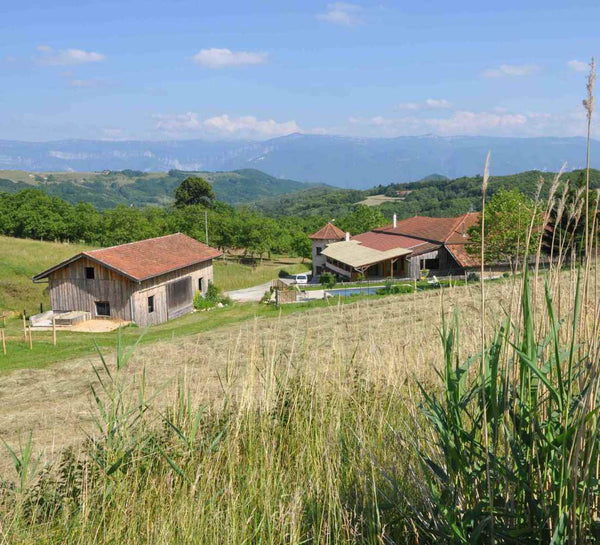 Séjour bien-être : Mountain therapy, Yoga et Observation des étoiles