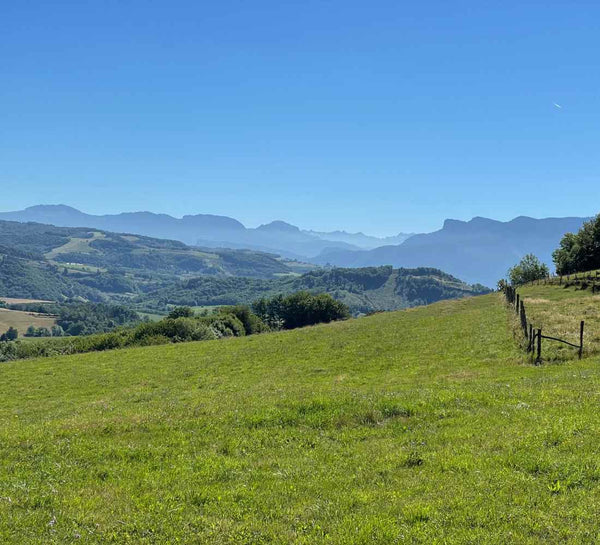 Séjour bien-être : Mountain therapy, Yoga et randonnées dans le Vercors