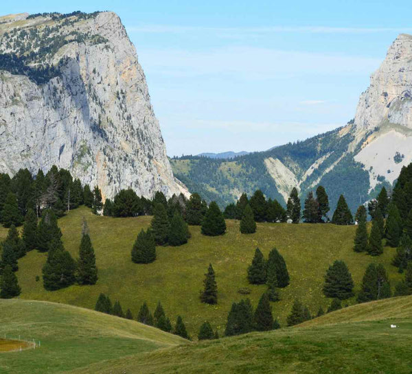 Séjour bien-être : Mountain therapy, Yoga et randonnées dans le Vercors