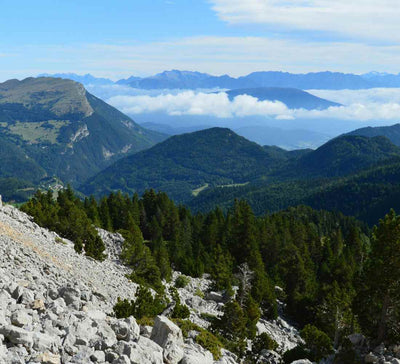 Séjour bien-être : Mountain therapy, Yoga et randonnées dans le Vercors