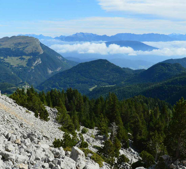 Séjour bien-être : Mountain therapy, Yoga et randonnées dans le Vercors