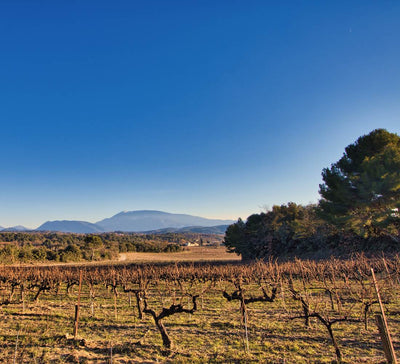 Retraite Équilibre et Énergie en Provence