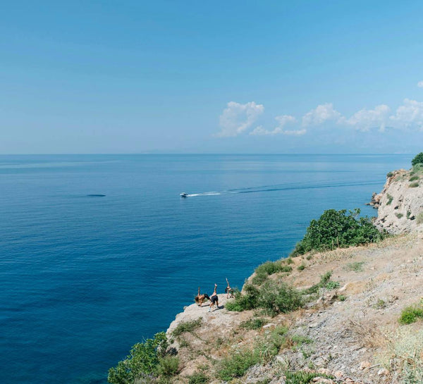 Écrin Méditerranéen : Yoga, Slow Life & Sonothérapie sur la Côte d’Azur