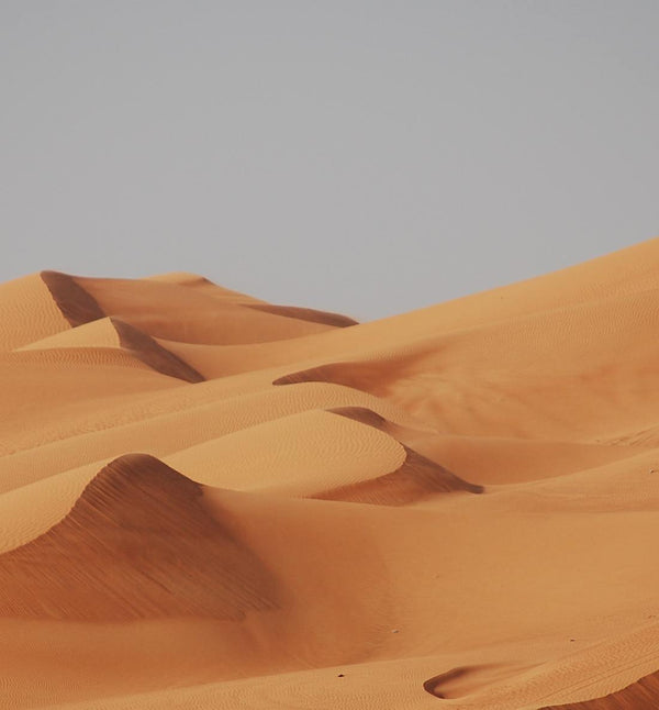 Trek et yoga dans les dunes du Sahara marocain en octobre