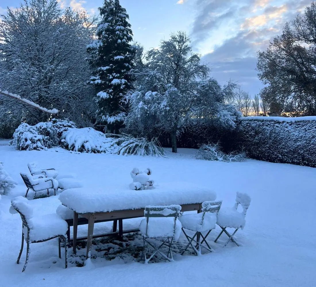 Célébrer 2026 : Yoga & Réveillon en Normandie - Séjour Normandie