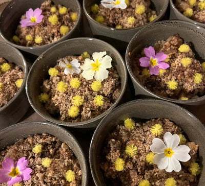 Célébrer 2026 : Yoga & Réveillon en Normandie - Séjour Normandie