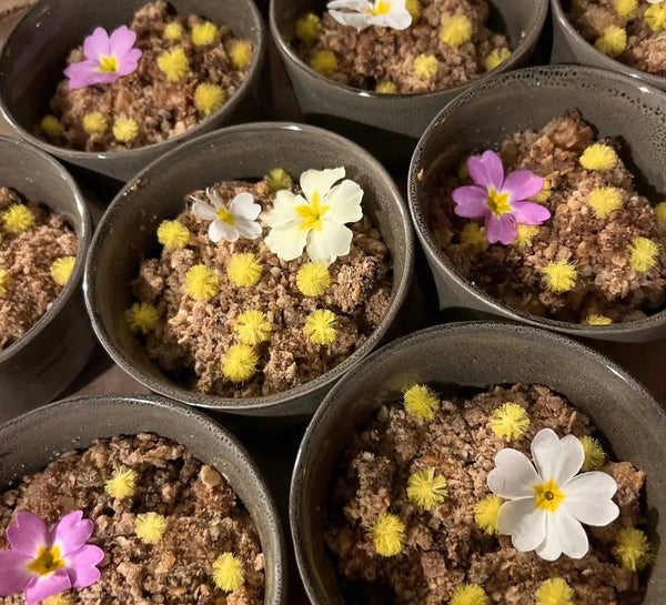 Célébrer 2026 : Yoga & Réveillon en Normandie - Séjour Normandie